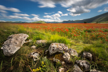 Castelluccio