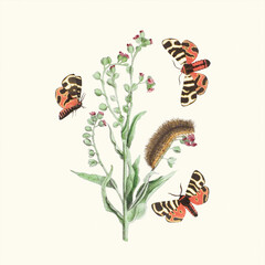 Lovely illustration of butterflies in an enchanting botanical scene.