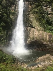 Fototapeta premium waterfall in the forest