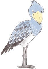 横を向いたハシビロコウ