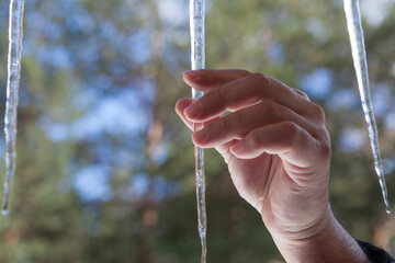 Hand touchs sharp icicles hanging on the edge of the roof