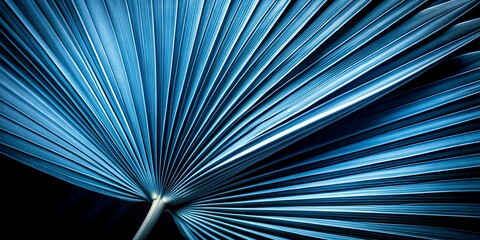 Obraz premium Close up of a blue palm leaf with its characteristic fan-shaped shape and sharp edges against a dark background. Minimalistic modern background