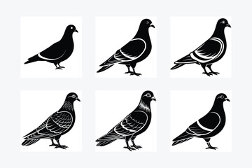 Pigeon Silhouette vector illustration black and white 