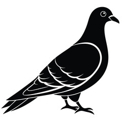 Pigeon Silhouette vector illustration black and white 