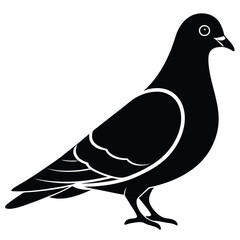 Pigeon Silhouette vector illustration black and white 