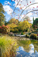 Autumn trees in the park.