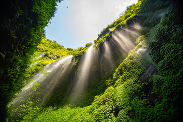 Beautiful waterfalls in sunny day,Bottom view Madakaripura Waterfall is the tallest waterfall in East Java, Indonesia
