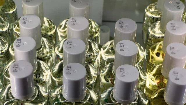 Luxurious Refill Perfume Display: Rows of Identical Fragrance Bottles on Glass Shelf | Elegant Retail Showcase of Aromatic Essences - Niche Perfumery Collection
