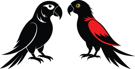 Obraz premium Parrot vector silhouette