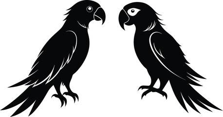 Parrot vector silhouette