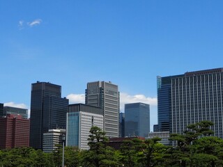 東京のビル群