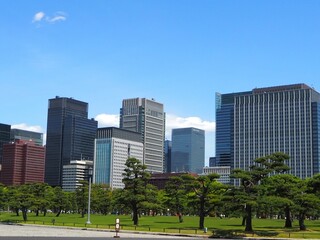 東京のビル群