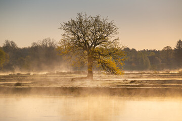 Belarusian nature at sunrise