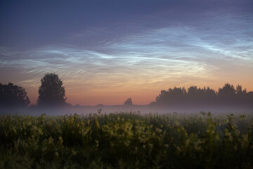 Bright noctilucent clouds