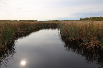 hazy skies cloud sun's reflection in prairie marsh waters