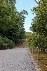 Background landscape of the beauty of Nijo Castle in Kyoto with a clear sky and mountains and trees in summer. nuances of ancient Japanese architecture