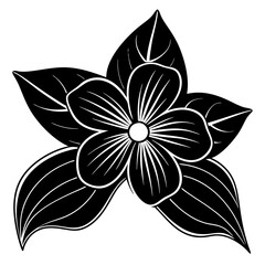 black and white flowers