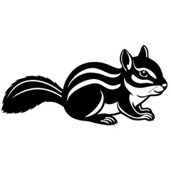 A black and white squirrel vector art