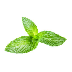 Apple mint Transparent Background Images 