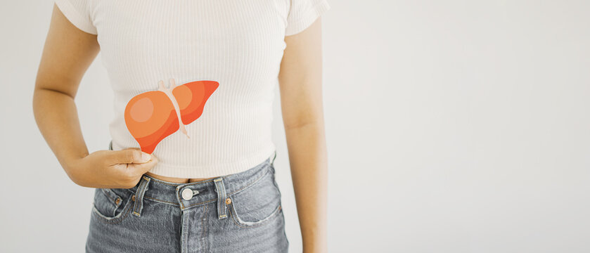 Woman holding liver, hepatitis vaccination, liver cancer treatment, world hepatitis day