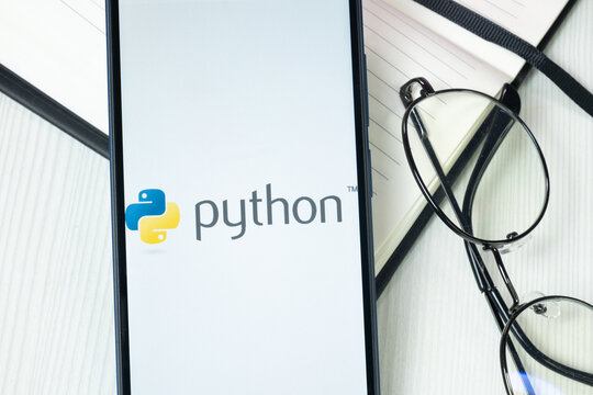 New York, USA - 30 June 2024: Python Logo or Icon on Phone Screen