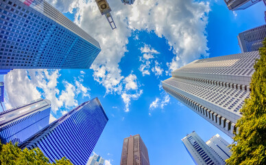 高層ビル群を真上で見上げる © oka