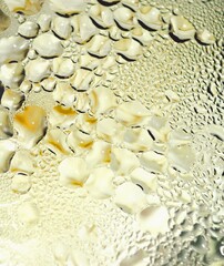 Background of beer drops on the glass surface