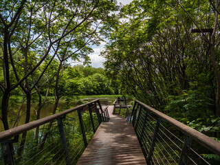 Fototapeta premium Changchun Culture of Water Ecology Park, Changchun, China