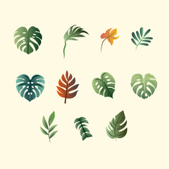 set of monstera leaves collection