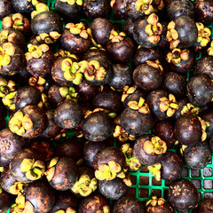 Mangosteen is a tropical evergreen tree, a species of the family Hibiscus, native to the Malay Archipelago. It is a delicious tropical fruit.