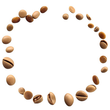 "Horse Gram" Images – Browse 273 Stock Photos, Vectors, and Video