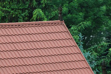 Terracotta styled roof mane with replica medal shingles 