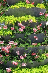 Multi tiered flower display