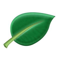 Green Leaf