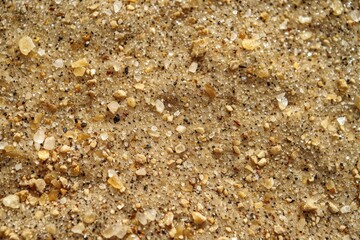 close-up of sand texture