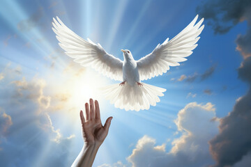 Obraz premium A hand and a flying white dove in the blue sky. The concept of freedom, International Day of Peace. 