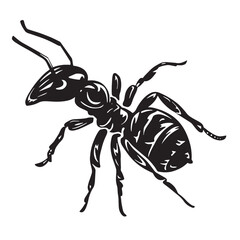 Ant black vector illustration design EPS