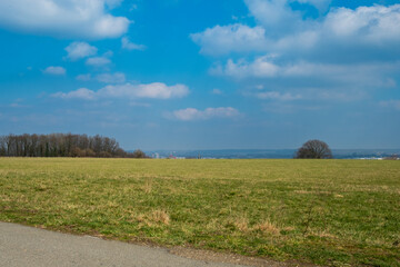 Fototapeta premium Green grasslands and blue sky