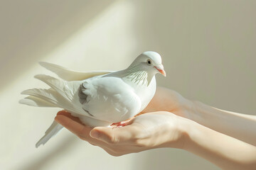 Hands holding a paper dove for World Peace Day,  peace concept	