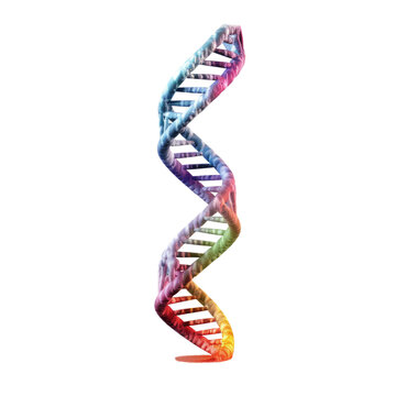 recommend clip art: DNA helix, dna strand isolate on transparent png.
                    