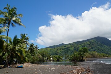 Landscape of Plage de Tautira
