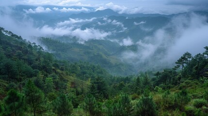 Enchanting view of high mountains and mist in the rainy season, with clouds hanging low over the valleys Generative AI