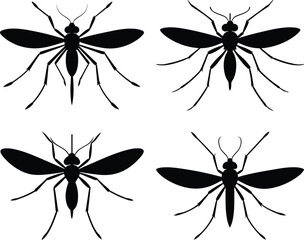 mosquito silhouette collection on white background