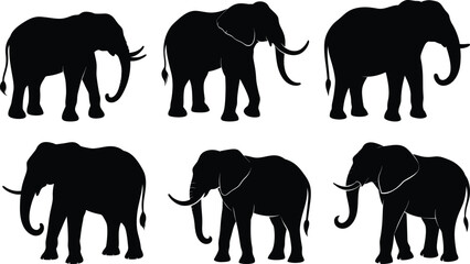 Elephant silhouette set isolated on white background, Set of elephant silhouettes in different poses of Africans elephant