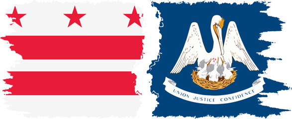 Louisiana and District of Columbia USA - Washington, D.C. grunge brush flags connection vector
