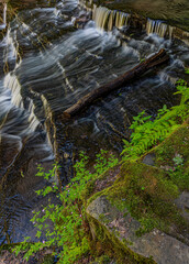 715-10 Herb Robert Falls