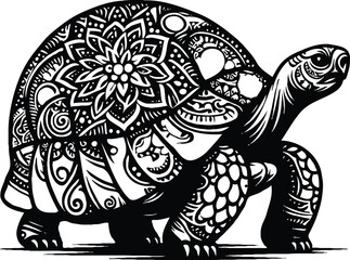 create a tortoise illustration 