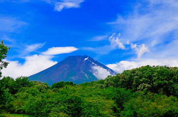 Fototapeta premium 富士山