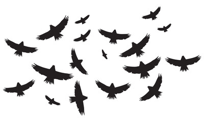 Flying birds silhouettes on white background. Vector illustration. isolated bird flying
