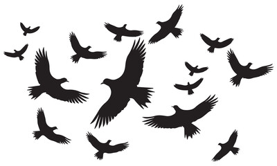 Set of silhouette flying bird white background